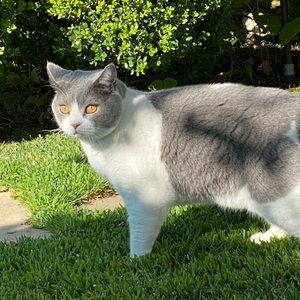 Meet your Posher, Robin